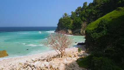 Drone view of coral hills on the edge of the sea with trees, coastal sand coral cliffs, and waves from the ocean at Sawangan Beach, Kebumen, Central Java