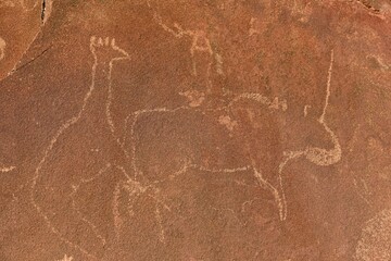 Rock engraving of a rhino and a giraffe, Twyfelfontein, Unesco World Heritage Site, Kunene Region, Namibia, Africa