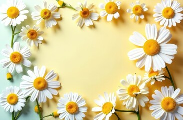 Obraz premium Creative pattern made of camomile flowers on colorful background. Floral layout for seasonal cards, blogs, posters and web design. Summer concept.Top view. Flat lay. Minimal style. Copy space
