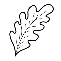 leaf of oak coloring pages