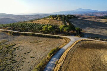 Country house with cypress avenue in morning light, drone shot, near Pienza, Tuscany, Italy, Europe