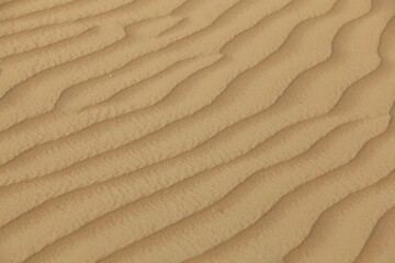 Structure in sand, Emirate of Dubai, United Arab Emirates, Asia