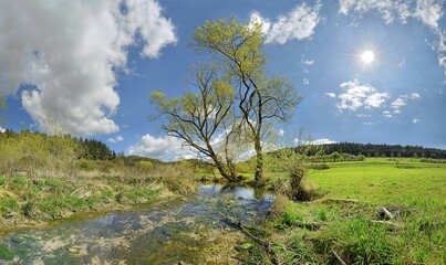 Obraz premium Spring at the idyllic brook and biotope Morsbach, Emsing, Titting, nature park Park Altmühltal, Bavaria, Germany, Europe
