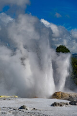 geyser in park national park