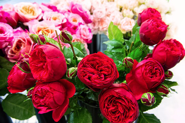 Bouquet of fresh red roses. Colorful floral background.