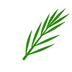 Phoenix palm leaf
