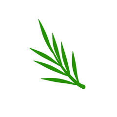 Phoenix palm leaf
