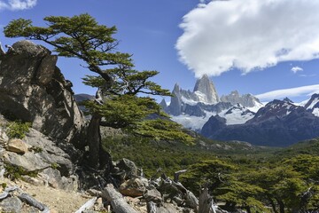 Cerro Fitz Roy, Los Glaciares National Park, El Chaltén, Santa Cruz Province, Patagonia, Argentina, South America