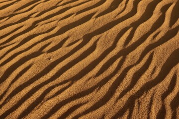 Sand ripples on sand dunes, Tassili n'Ajjer National Park, UNESCO World Heritage Site, Sahara desert, Algeria, Africa