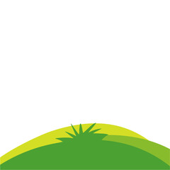 Fototapeta premium Green lawns with grass and plants 