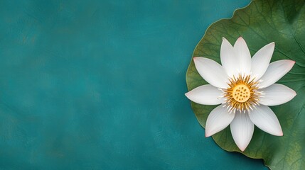 Elegant white lotus with golden center on a glossy green leaf, vibrant and soothing nature-inspired design