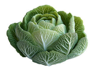 Obraz premium Fresh Green Cabbage with Crisp Leaves – Perfect for Healthy Meals and Culinary Creations