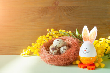 Easter background. Easter bunny and Easter eggs in the nest near the mimosa flowers, free space for...