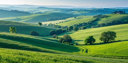Obraz premium Tuscan Countryside at Golden Hour Rolling Hills and Tranquil Vistas V6
