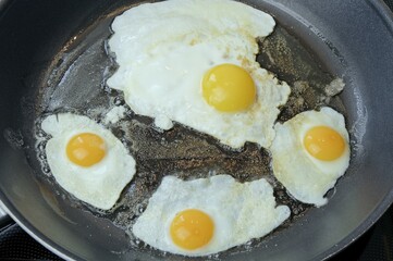 Quail and chicken eggs being fried in a pan