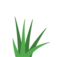 Fragments of green grass
