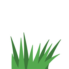 Fragments of green grass
