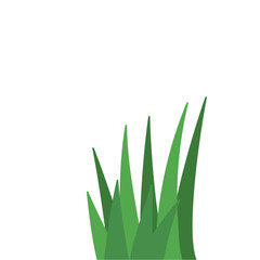 Fragments of green grass
