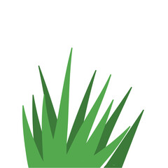 Fragments of green grass
