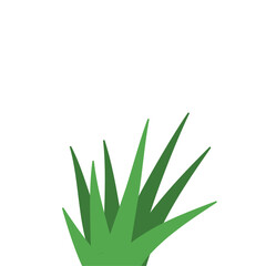 Fragments of green grass
