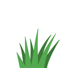 Fragments of green grass
