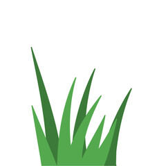 Fragments of green grass
