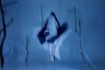 Floating between light and shadow. Two graceful ballerinas in light and dark veil moving in endless...