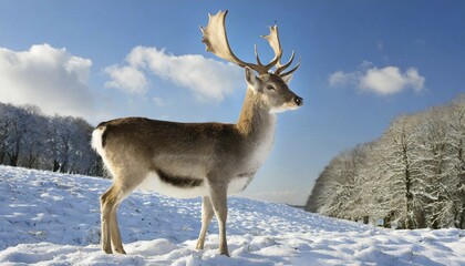 Fototapeta premium AI generated, animal, animals, mammal, mammals, biotope, habitat, one, single animal, foraging, wildlife, fallow deer (Dama dama)