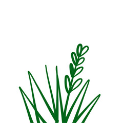 Grass doodle sketch style
