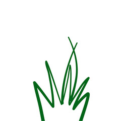 Grass doodle sketch style
