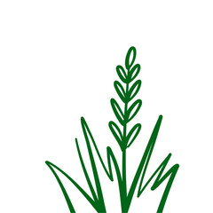 Grass doodle sketch style
