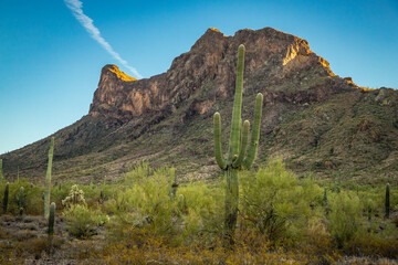 Majestic Picacho Peak at Dusk with Saguaro Cactus