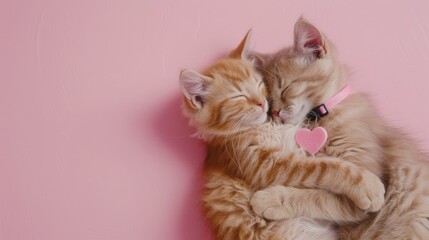 Two Furry Kittens Snuggling On Pink Surface Together