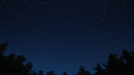 Fototapeta premium A starry night sky with the Milky Way galaxy vividly visible