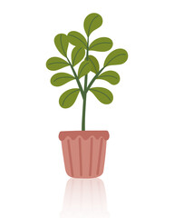 Houseplant in the pot isolated on white. Concept of indoor greenery, home decor, nature, botanical design, ecology, care, growth and sustainability. Vector hand drawn clipart.