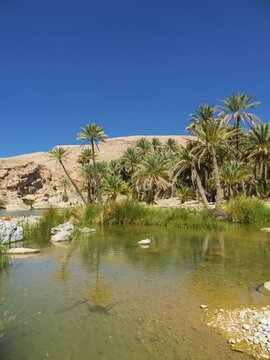 Wadi Bani Khalid, freshwater lake, Sharqiya Region, Muqal, Oman, Asia