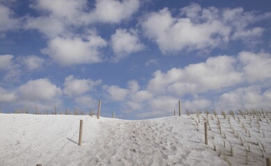 Dune from mussel sand, crossing and planting with beach oat (ammophila), peninsula...