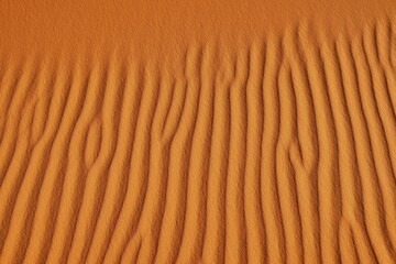 Sand ripples on sand dunes, Tassili n'Ajjer National Park, UNESCO World Heritage Site, Sahara desert, Algeria, Africa