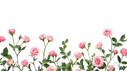 Delicate pink roses arranged elegantly with green leaves in a bright, neutral background, perfect for any floral occasion or design