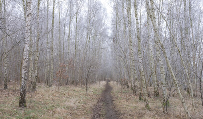 Landschaftsfotografie, Nebel im Januar, Berlin Lübars, Deutschland