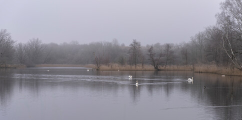 Landschaftsfotografie, Nebel im Januar, Berlin Lübars, Deutschland