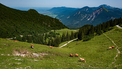 Berglandschaft am Walchensee in Bayern, Deutschland