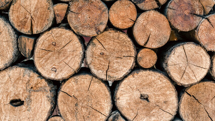 many wooden logs trunks close up
