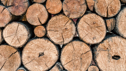 many wooden logs trunks close up