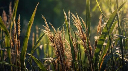 Swaying River Reeds with Hidden Wildlife #10