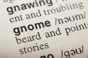 Obraz premium Gnome, word in dictionary. macro shot. selective focus
