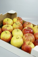 Organic apples, Jonagold