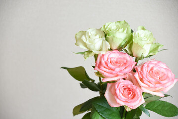 緑とピンクのばら