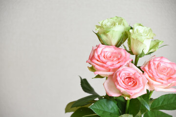 緑とピンクのばら