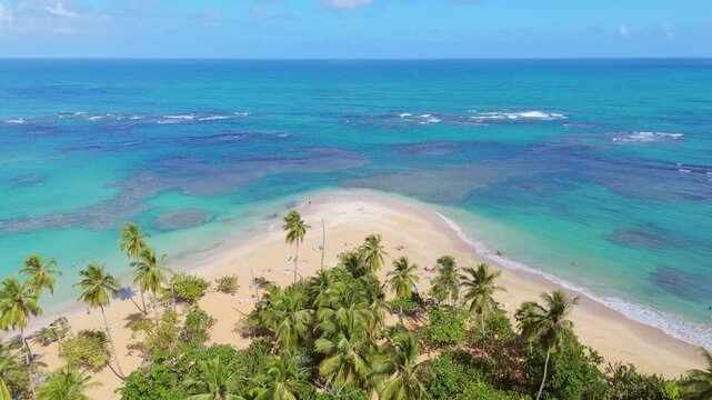 Resting people at sandy beach of PLAYA PUNTA POPY with palm trees during sunny day. Cor reef and turquoise Caribbean Sea, Dominican Republic. Aerial backwards wide shot.